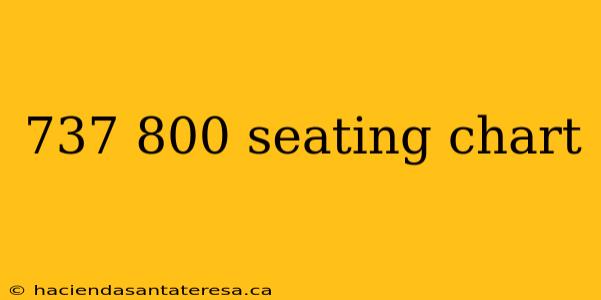 737 800 seating chart