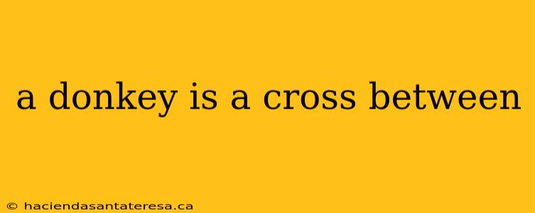 a donkey is a cross between