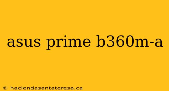 asus prime b360m-a