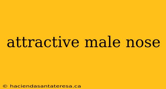 attractive male nose