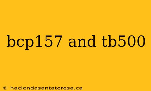bcp157 and tb500