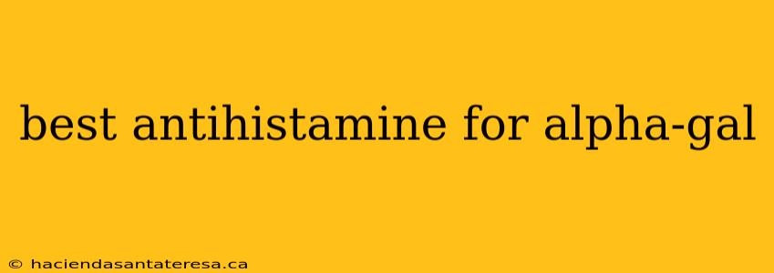 best antihistamine for alpha-gal