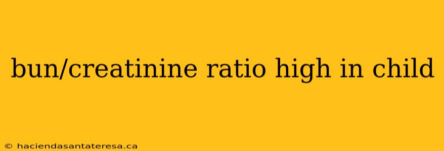 bun/creatinine ratio high in child
