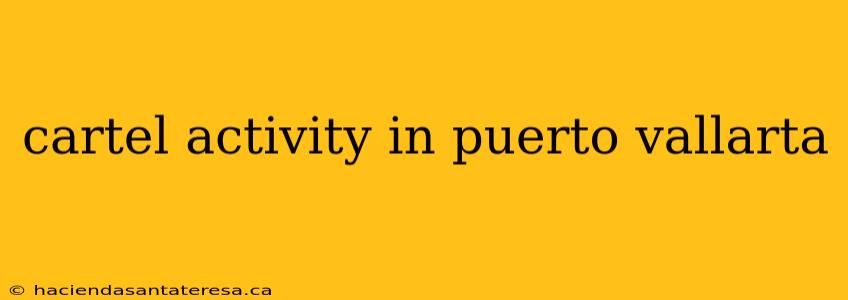 cartel activity in puerto vallarta