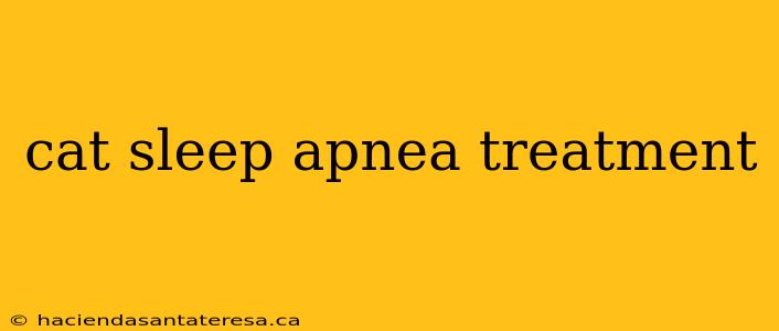 cat sleep apnea treatment
