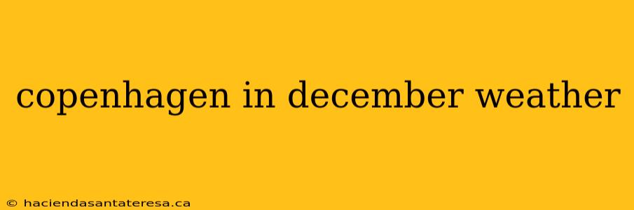 copenhagen in december weather