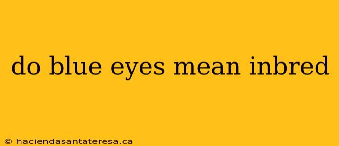 do blue eyes mean inbred
