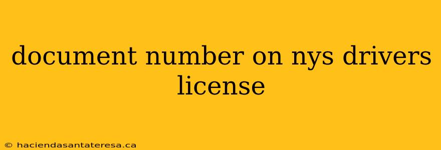 document number on nys drivers license