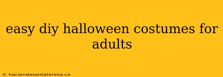 easy diy halloween costumes for adults