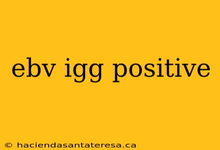 ebv igg positive