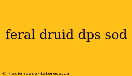 feral druid dps sod