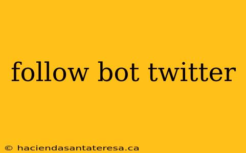follow bot twitter