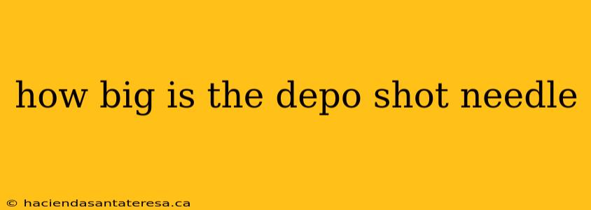 how big is the depo shot needle