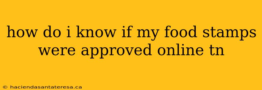 how do i know if my food stamps were approved online tn