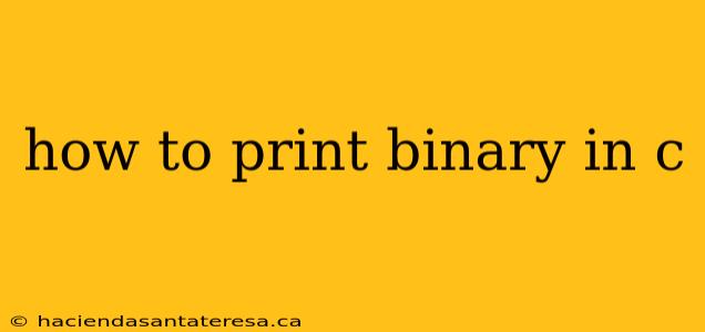 how to print binary in c