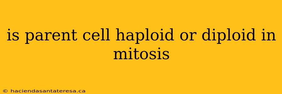 is parent cell haploid or diploid in mitosis