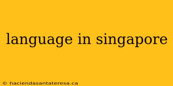 language in singapore