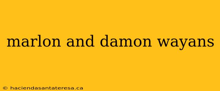 marlon and damon wayans