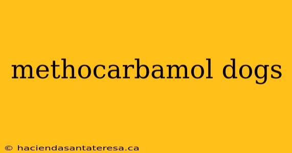 methocarbamol dogs