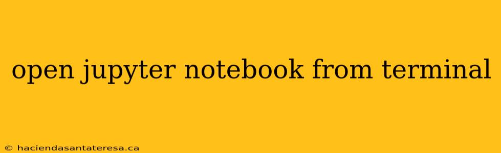 open jupyter notebook from terminal