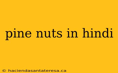 pine nuts in hindi