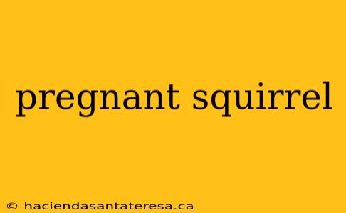 pregnant squirrel