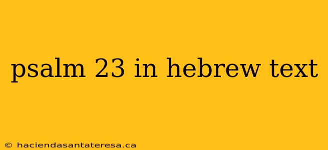 psalm 23 in hebrew text