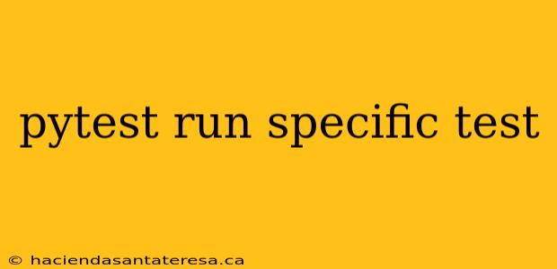pytest run specific test