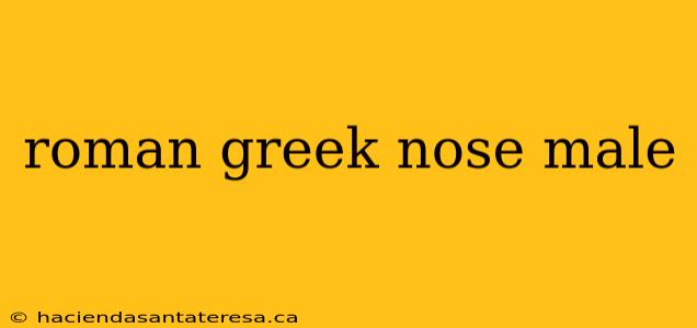 roman greek nose male