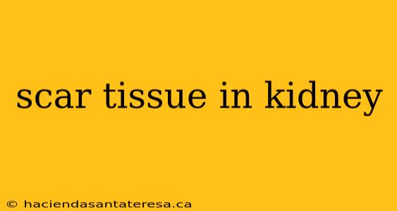 scar tissue in kidney