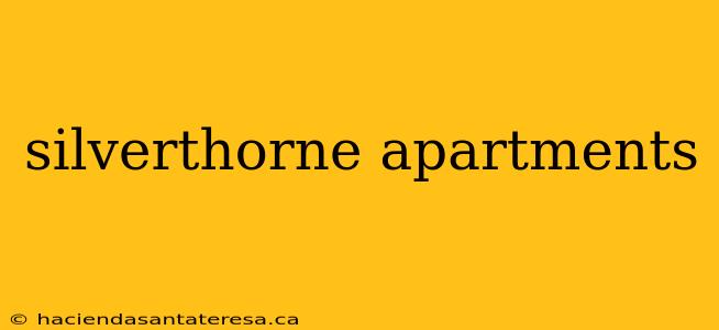 silverthorne apartments