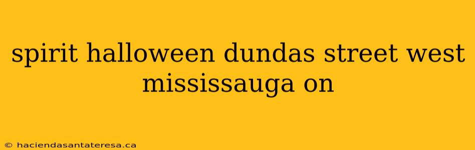 spirit halloween dundas street west mississauga on