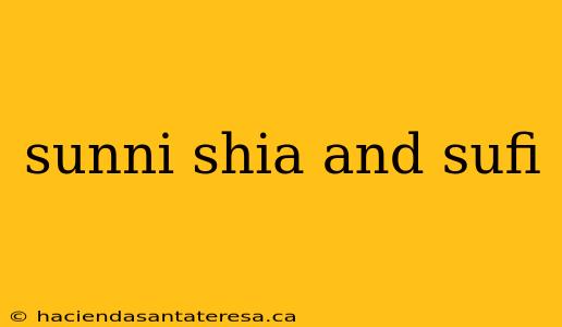 sunni shia and sufi
