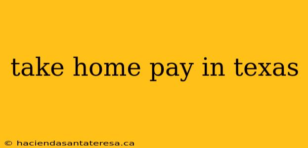 take home pay in texas