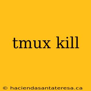 tmux kill