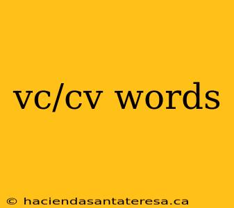 vc/cv words