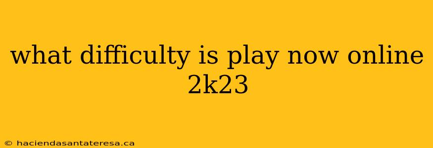 what difficulty is play now online 2k23