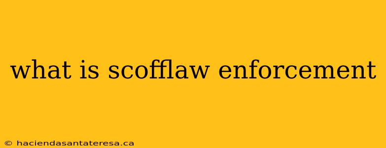 what is scofflaw enforcement