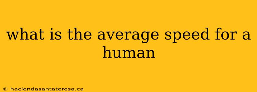 what is the average speed for a human
