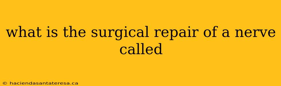 what is the surgical repair of a nerve called