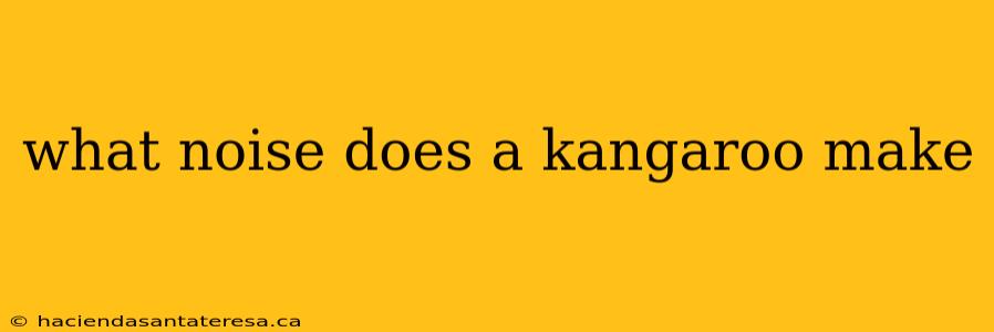 what noise does a kangaroo make