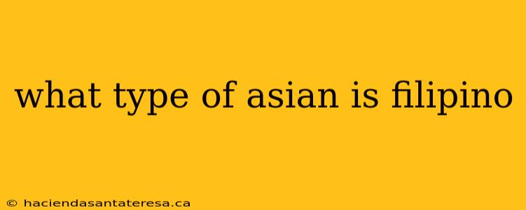 what type of asian is filipino
