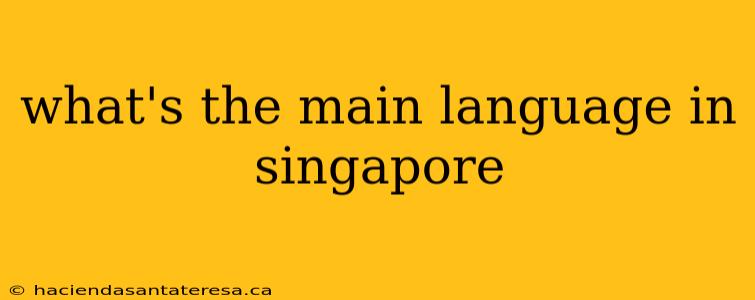 what's the main language in singapore