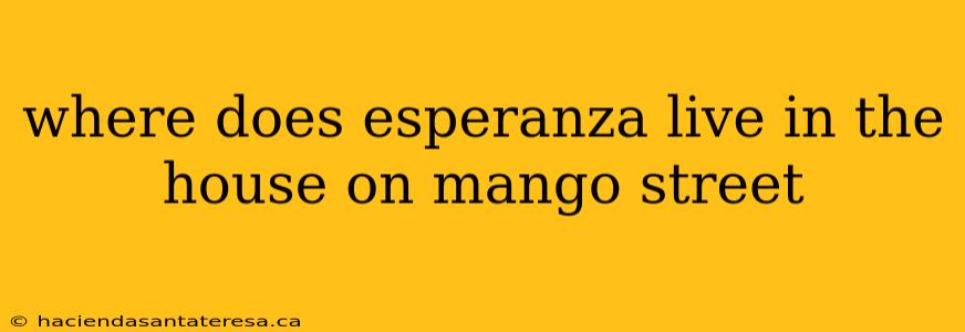 where does esperanza live in the house on mango street