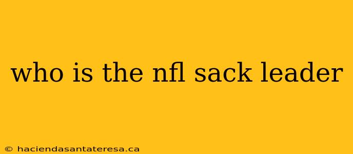 who is the nfl sack leader